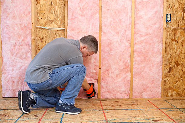 Best Insulation for New Construction  in Wilton, CA