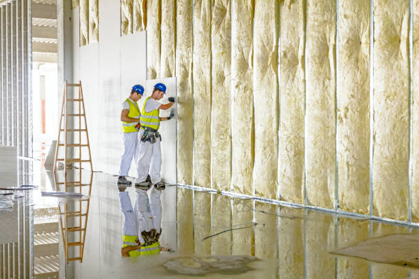 Best Garage Insulation  in Wilton, CA